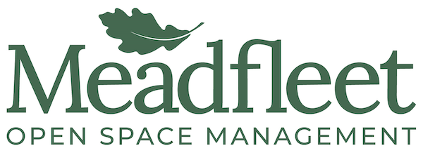 Meadfleet